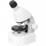 Микроскоп LEVENHUK DISCOVERY MICRO POLAR с книгой 77952